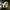 VIP Candle Bundle