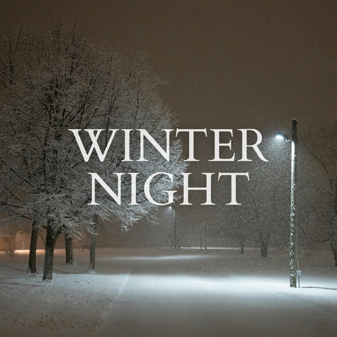 Winter Night | Luxury Pine & Evergreen Wood Wick Candle LIMITED
